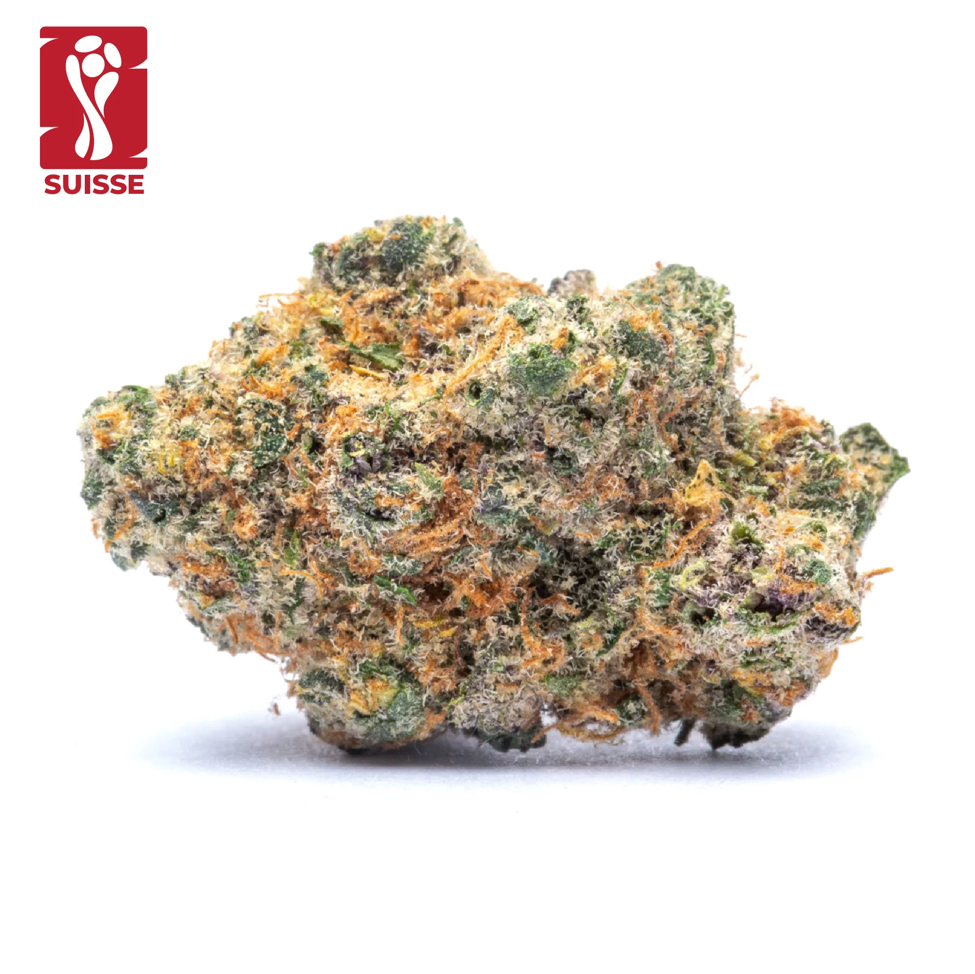 Éligible 1G OFFERT