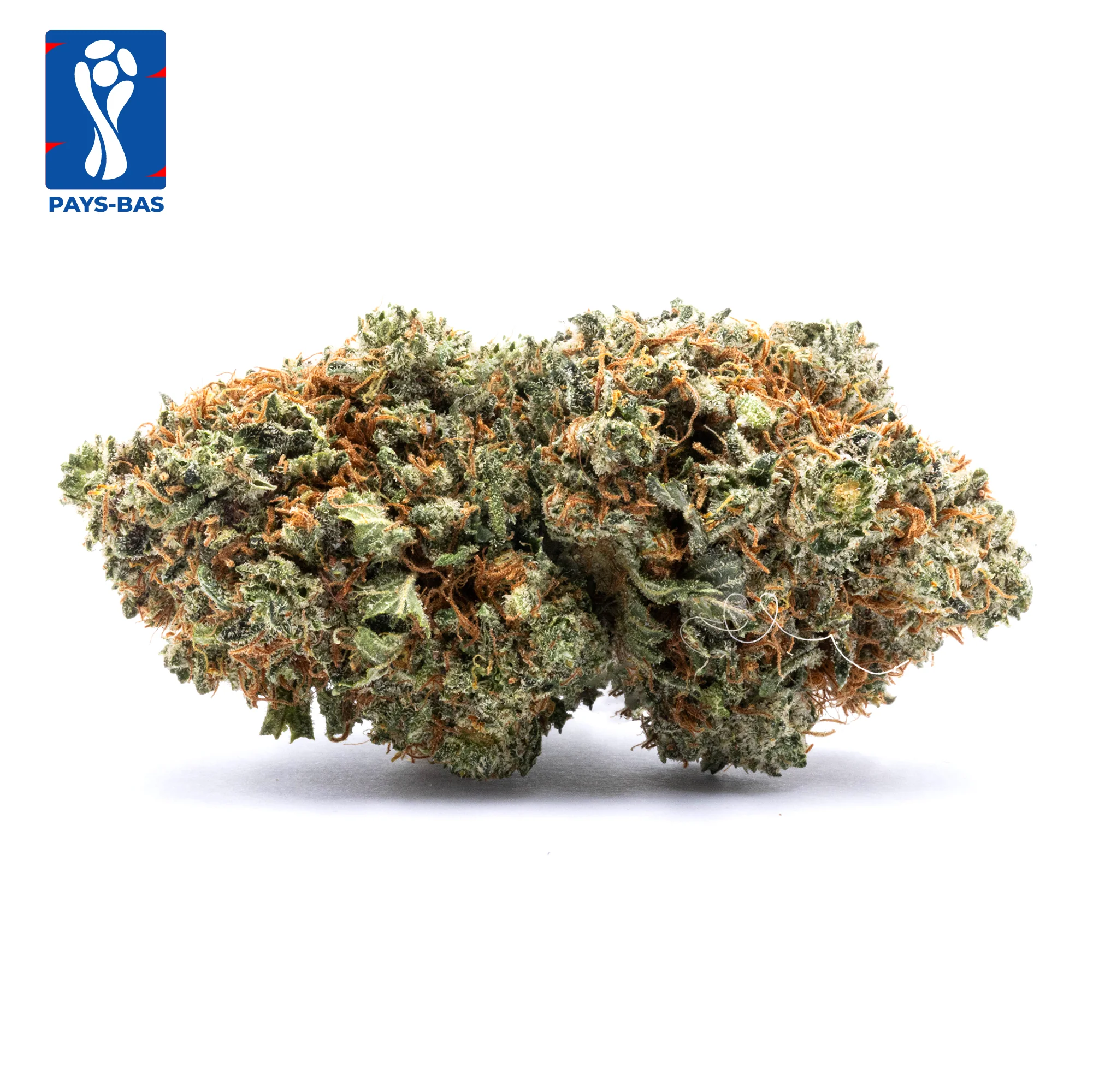 Éligible 20G OFFERT